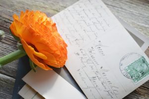 flower-1312794