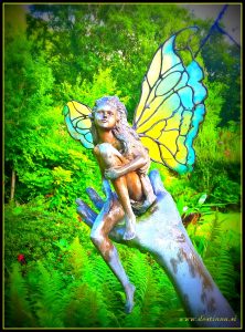 WP_20160819_19_00_52_Pro