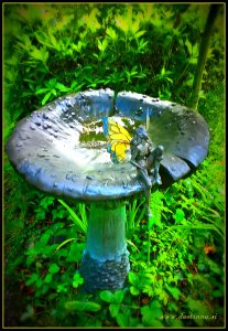 WP_20160819_19_09_19_Pro