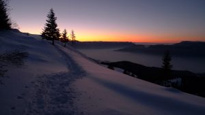 snow-834111